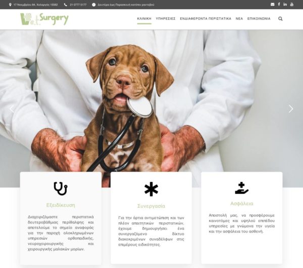 vetsurgery κτηνιατρική κλινική website